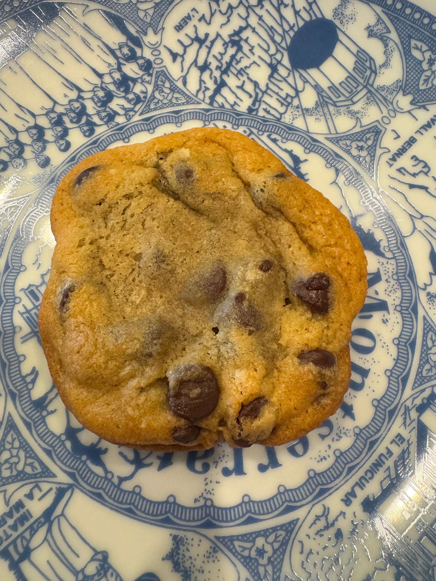 Chocolate Chip Cookie